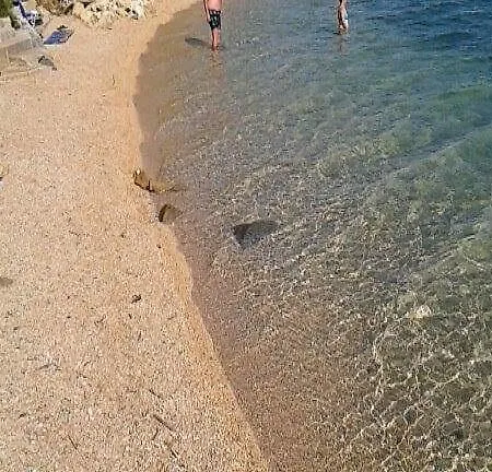 Pepo Pag Appartement